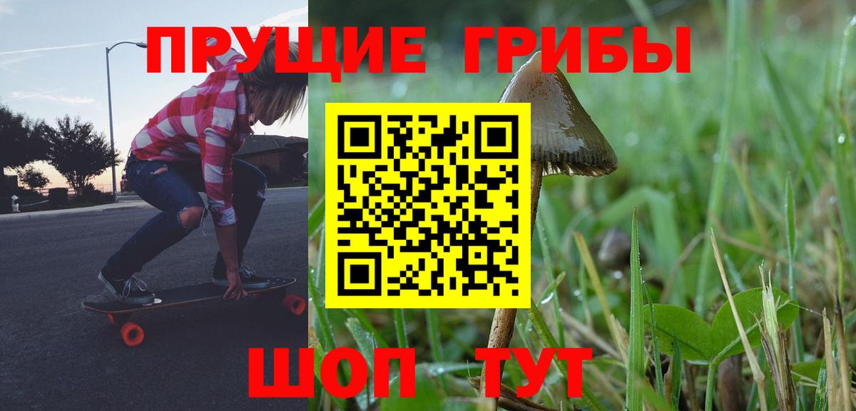 Псилоцибиновые грибы прущие грибы Дальнегорск