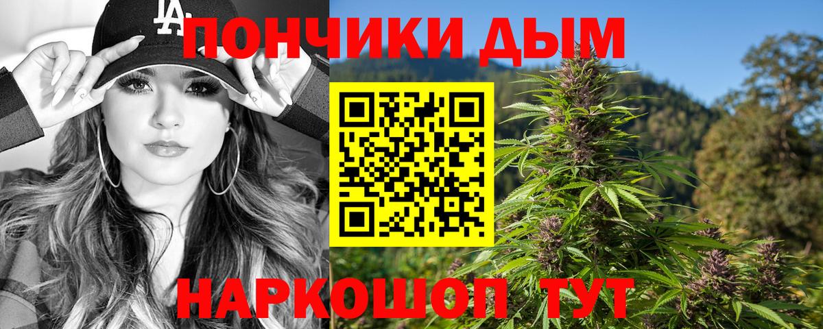 Шишки марихуана планчик  Каннабис планчик  Бошки Шишки семена  Канабис Ganja  Вход с VPN  Дальнегорск 